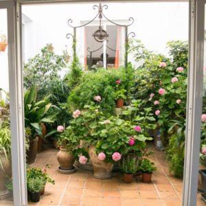 Appartement Alexia - Atolon - Port de Pollença